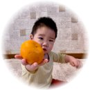 달곰축산 | 경기도 건강과일 지원금 및 배송 후기
