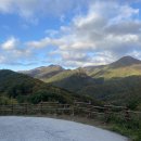 대지사슴농장 이미지