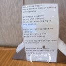 성덕초교 | [강릉 맛집] 강릉 포남동 신상 맛집, 태국집 (메뉴판, 운영시간, 팟타이, 푸팟퐁커리 후기)