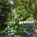 새소리민박 이미지