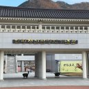 싱그러운청도로(봄) 이미지