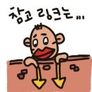 엑스포로539번길 이미지