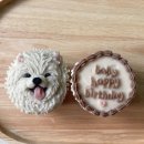 펫티시에 이미지