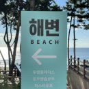 포포아일랜드 이미지