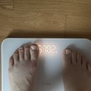 도리한의원 | [다이어트] 참명인한의원 감비환 다이어트 가격 후기 부작용 내돈내산 -3