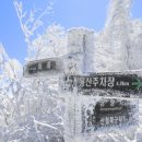 제125차 지리산 바래봉 정기산행 안내(26.01.17.토) 이미지