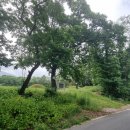 함평이씨 포장공 묘역 및 석물 이미지