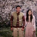 너는 내운명 이미지