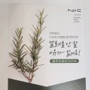 에벤에셀 헤어클리닉
