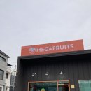 메가후르츠 양주점 | 양주 과일카페, 메가후르츠 양주점 과일포장 솔직후기