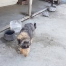 김경식농장 이미지