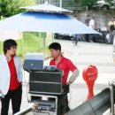 분도와안나 개미꽃동산 이미지