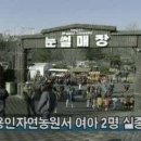 자연농원 이미지