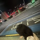 GS25 운남중앙점 이미지