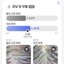 석촌동주민센터 | 석촌역미용실 꾸꾸살롱에서 힐링한 송파헤드스파 후기 (석촌동미용실 추천)