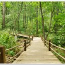 인제03-3 이미지