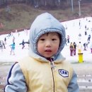 지성이가 게시물 올리면 <b>햄스타</b>그램???? 스토리 올리면...