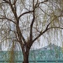 서가김밥 이미지