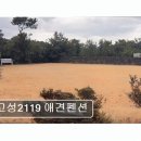 고성2119 | 제주 서귀포 애견동반 숙소 고성2119 애견펜션 청결과 편안함이 돋보이는 펜션
