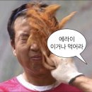 중마고등학교 | 넌하루종일바빠오빠나빠