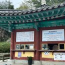 거북약수터 | 여수 향일암 | 여수여행 중 꼭 들러야 할 국내일출명소 여수가볼만한곳 추천