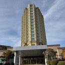 디오션리조트(호텔) | 뷰·룸 컨디션/조식까지! 아기랑 디오션리조트 오션패밀리 트윈룸 리얼 후기