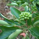 정병석농장 이미지