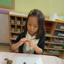 동부유치원 이미지