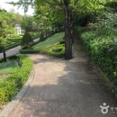 여미지 Daum카페