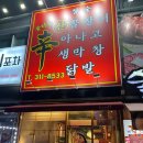 불타는아나고 | 살아있는 신선한 곰장어, 아나고 대구칠곡맛집 칠곡불타는산곰장어 솔직후기