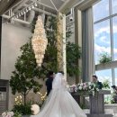 (주)지디서울 | 빌라드지디 안양 뷔페 가격, 식대, 하객 후기 + 메뉴 추천