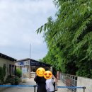 [고창 가볼만한곳] 여름 휴가 강추! 고창상하농원 야외수영장 오픈런 후기 (탈의실, 샤워실 정보 포함)