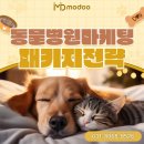 지수동물병원 | 동물병원 마케팅 검색부터 예약까지 연결하는 패키지 광고 전략