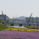 신기1길 이미지