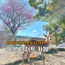 라플로레스타 | 일본나라여행 가볼만한곳 도넛 카페 플로레스타 추천