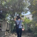 상리저수지 | 수도권 당일치기 등산 추천! 경기도 화성 서봉산 트레킹 후기