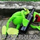 야호맥주