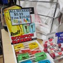 서부차유리 | 미국 서부 여행, 미서부9일차 그랜드캐년, 그랜드캐년 전망대, 후버댐,경비행기장