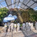 마법의 정원 이미지