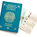 해외여행 가고 싶어서 찌는 나라별 여권표지(BGM) 이미지