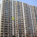 고양대로255번길 이미지