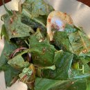 자신담한정식 이미지