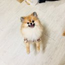 토베스트 동물병원 이미지