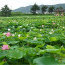 경주한옥펜션 하늘터밭 이미지