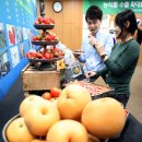 수출 농산물 이미지