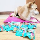 다온펫푸드 이미지