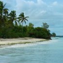 고대1107 이미지