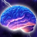 마이스터짐 이미지