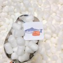 마포-현장-마포-1494 | [캐릭터 팝업] AKPLAZA 도경수 친필싸인, 찌랭이&amp;찰스 X 모리보리 베이커리 팝업 : 베이킹 타임