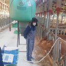 제일한우농장 이미지